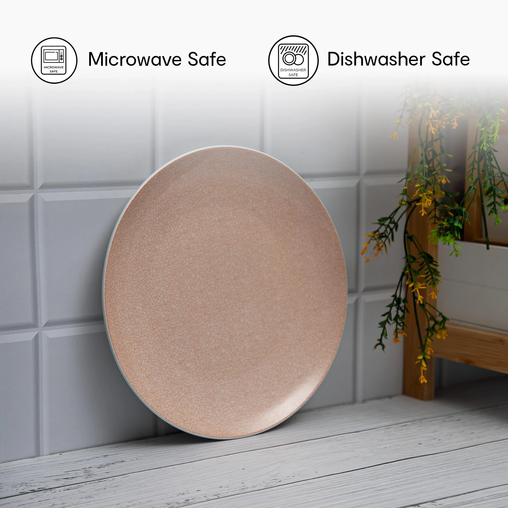 Anko 11" Pink Bella Stoneware Dinner Plates Set of 2 | Crockery items for Gift, Dining table, Home, Restaurant, Kitchen | Dishwasher & Microwave safe Ceramic Plates | Premium Crockery Set Dinner Set