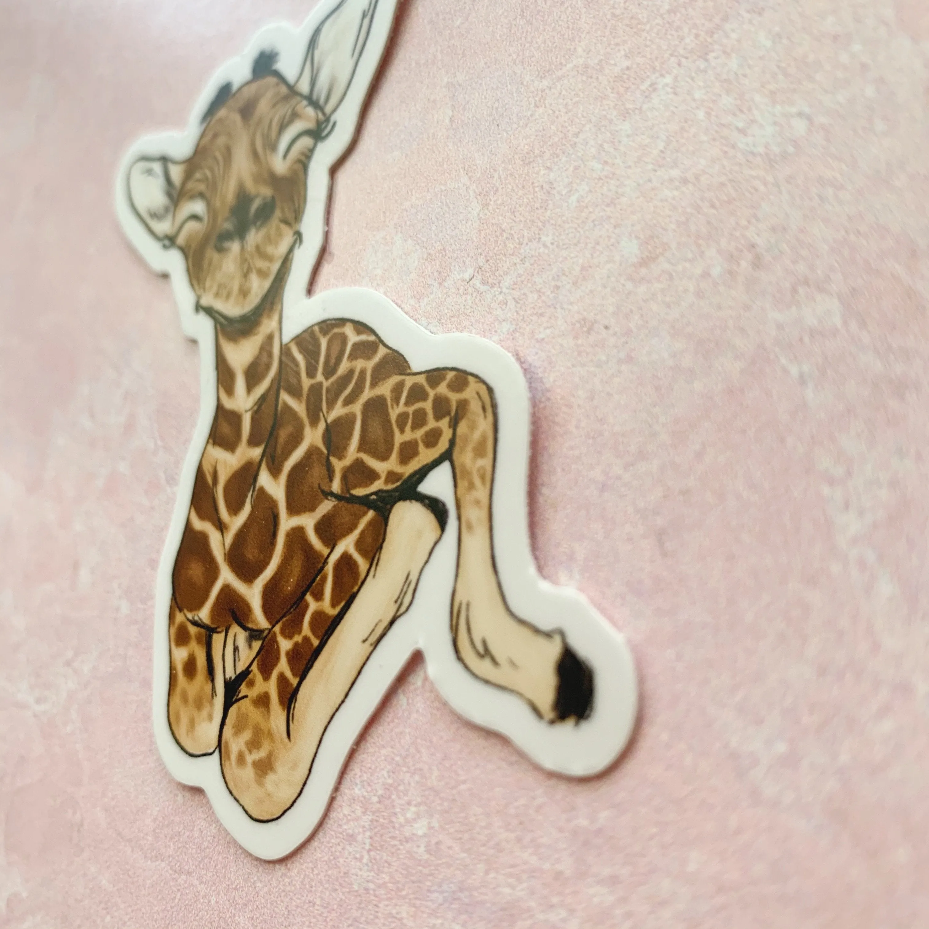 Baby Giraffe Sticker