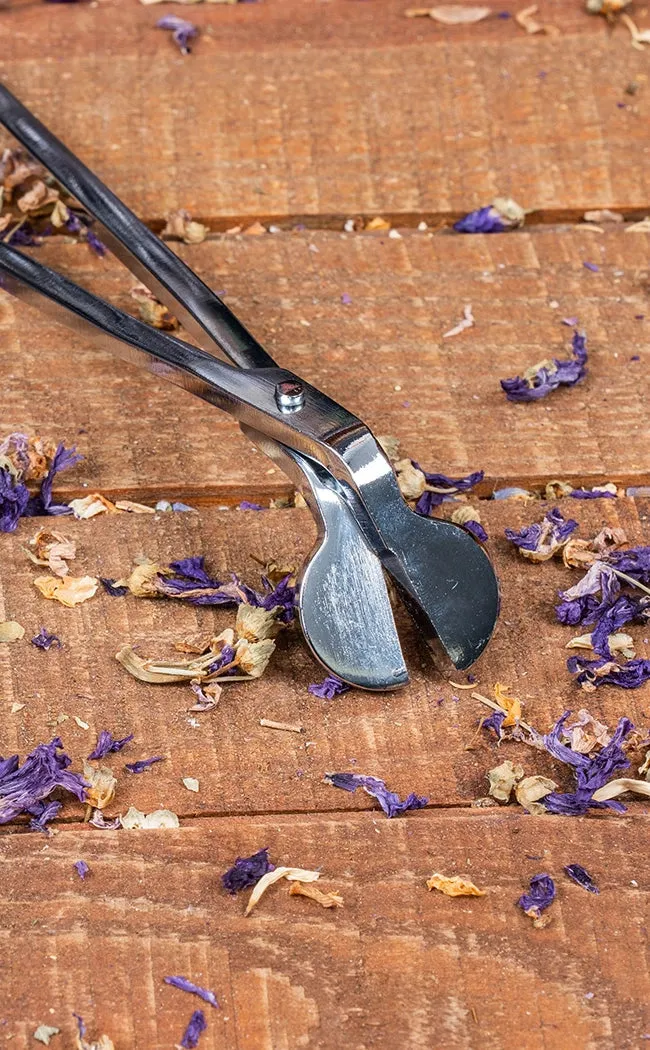 Candle Care Tool Kit