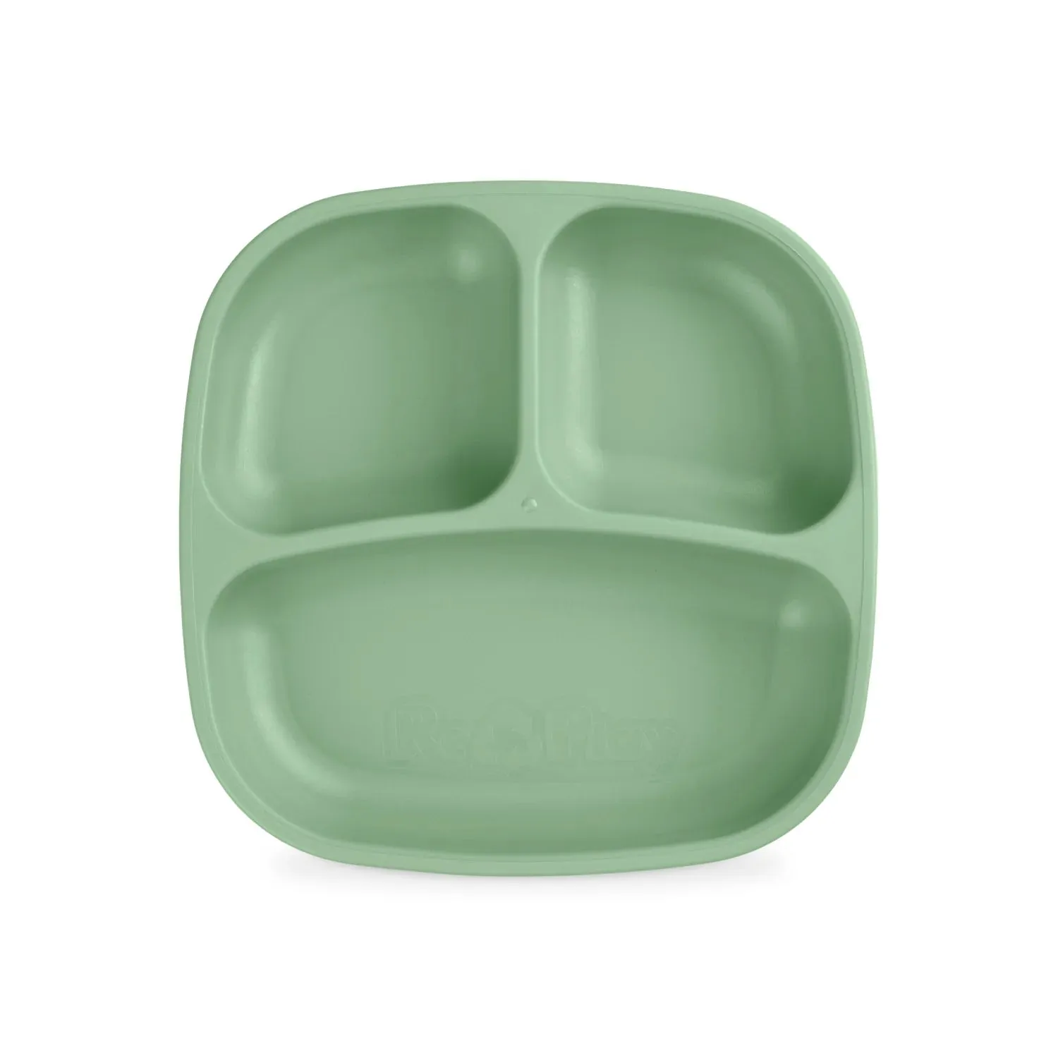 Divided Plate