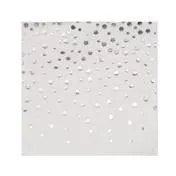 Grey Silver Flower 56 pc Party Set (Setting for 8)
