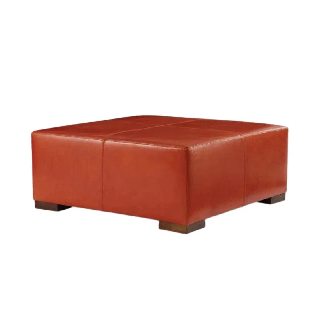 Vivian Leather Square Ottoman Coffee Table